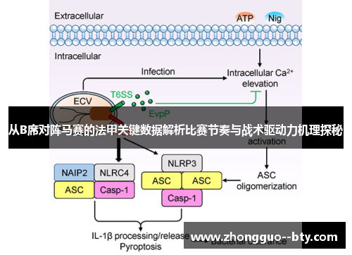 从B席对阵马赛的法甲关键数据解析比赛节奏与战术驱动力机理探秘